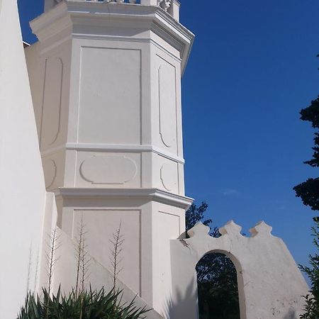 Villa-Chateau Les Terrasses - Tamaris, Plage Des Sablettes, Mer Au Bas De La Propriete Ла Сен-сюр-Мер Екстериор снимка