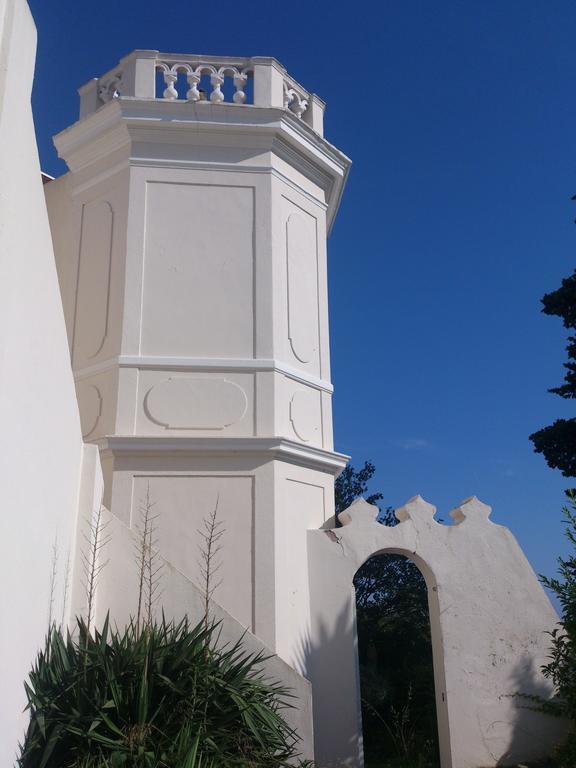 Villa-Chateau Les Terrasses - Tamaris, Plage Des Sablettes, Mer Au Bas De La Propriete Ла Сен-сюр-Мер Екстериор снимка