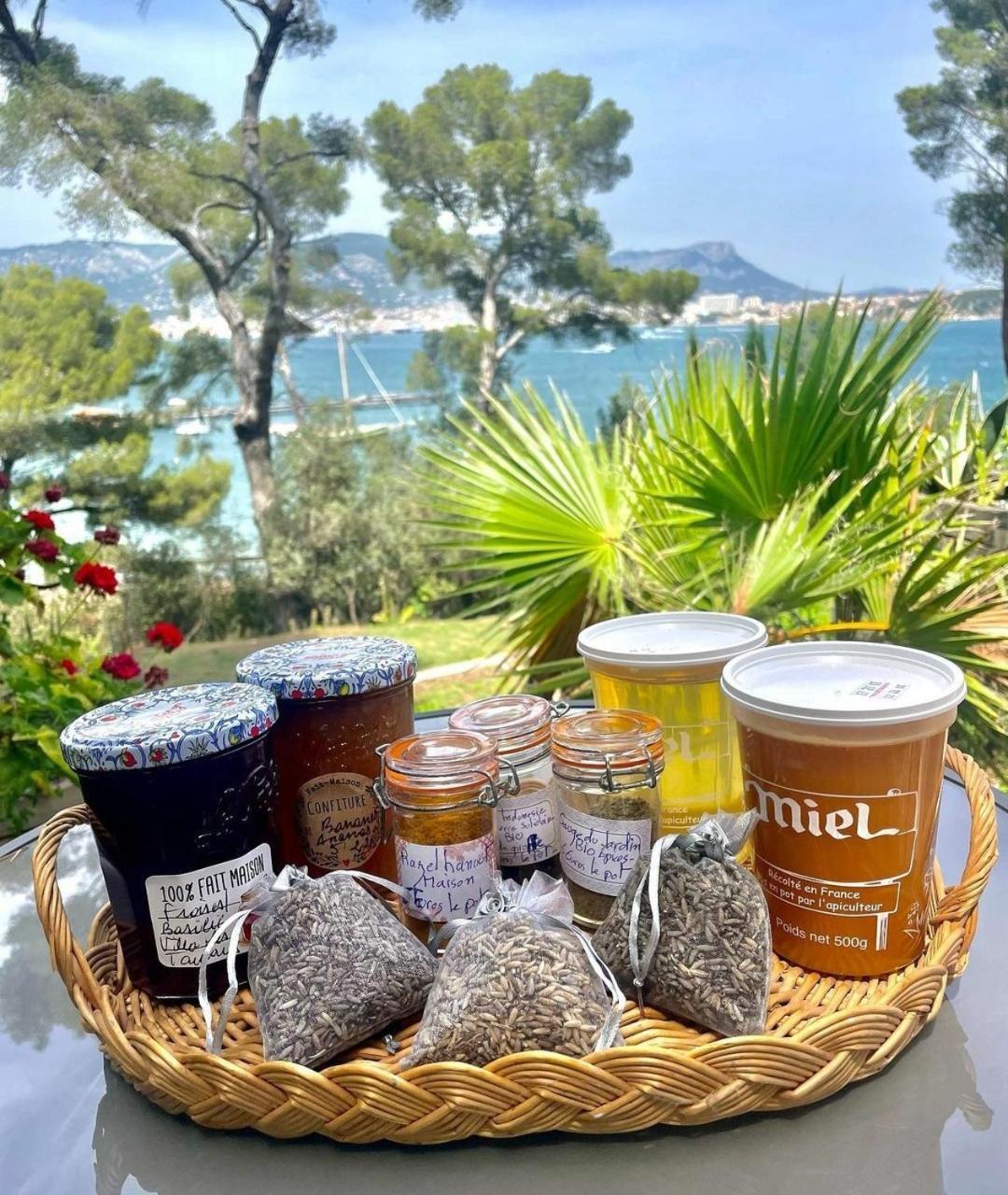 Villa-Chateau Les Terrasses - Tamaris, Plage Des Sablettes, Mer Au Bas De La Propriete Ла Сен-сюр-Мер Екстериор снимка