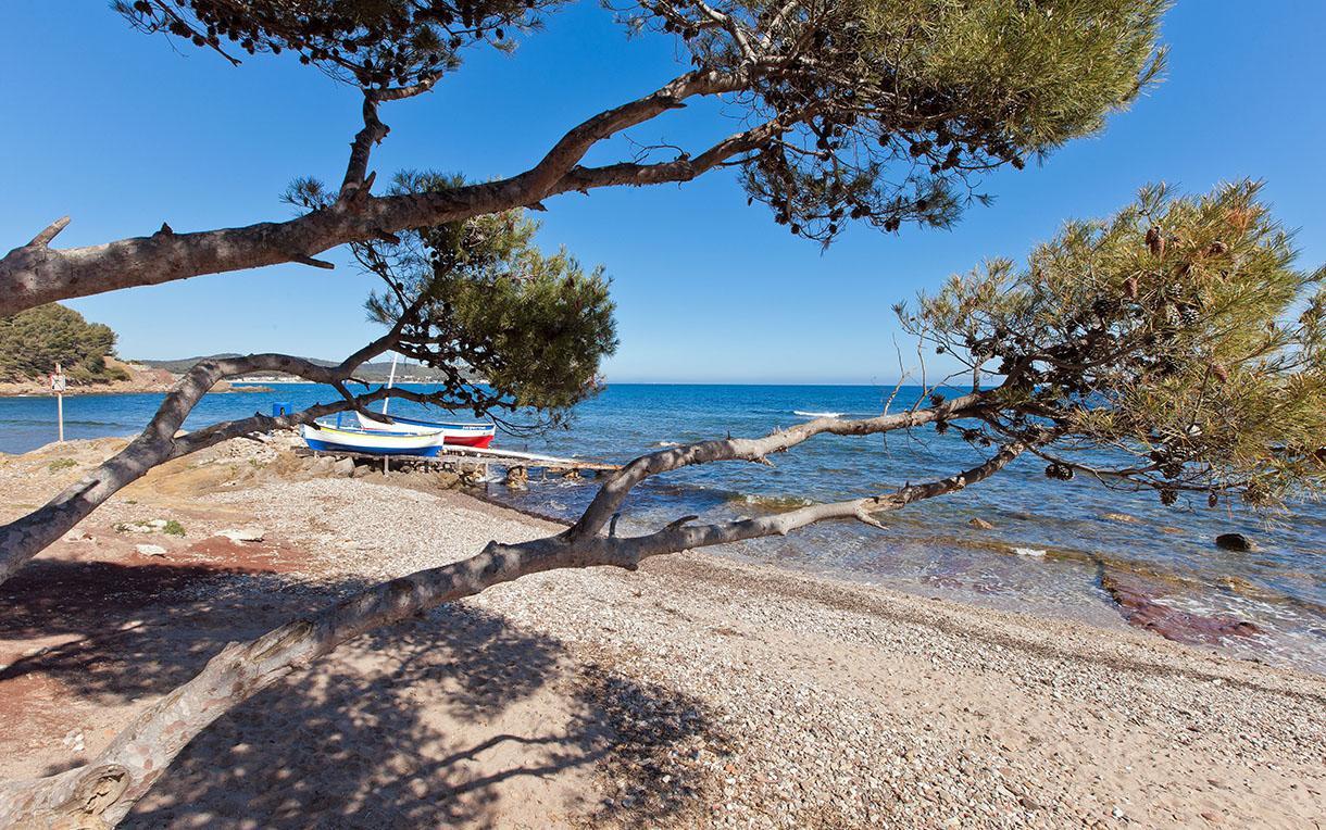 Villa-Chateau Les Terrasses - Tamaris, Plage Des Sablettes, Mer Au Bas De La Propriete Ла Сен-сюр-Мер Екстериор снимка
